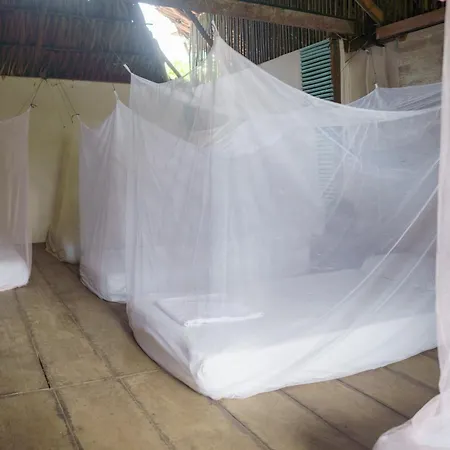 Maria Mulata Palomino Hostel Exterior photo